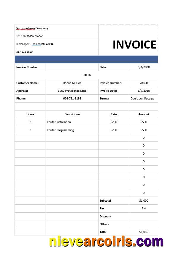Computer Services Invoice